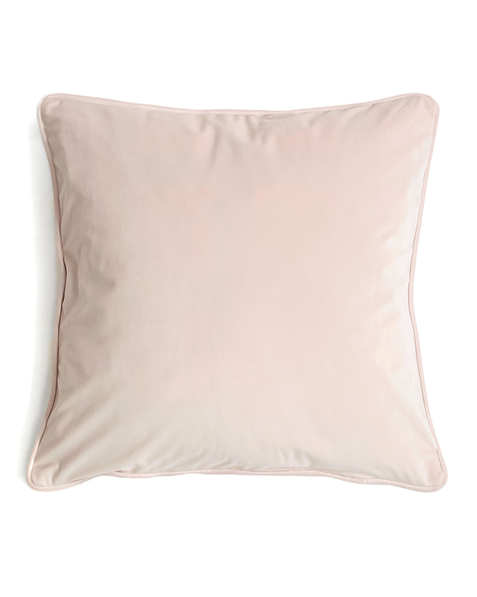 Luxe Velvet Blush Pillow Cover