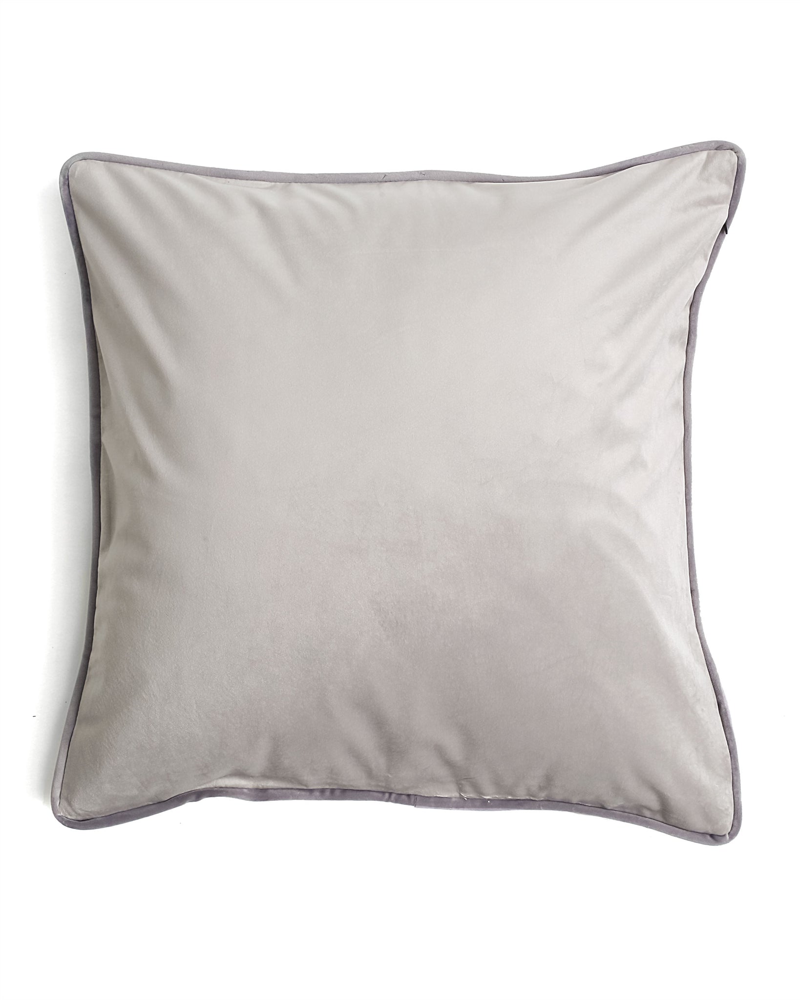 Luxe Velvet Silver Pillow Cover